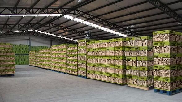 Ellawig companys línea de producción de fábrica