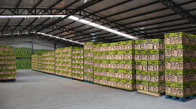 Ellawig companys línea de producción de fábrica